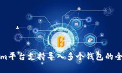 Tokenim平台支持导入多个钱包的全面解析