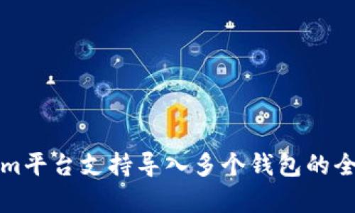 Tokenim平台支持导入多个钱包的全面解析