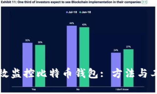 如何有效监控比特币钱包: 方法与工具解析