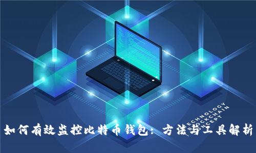 如何有效监控比特币钱包: 方法与工具解析