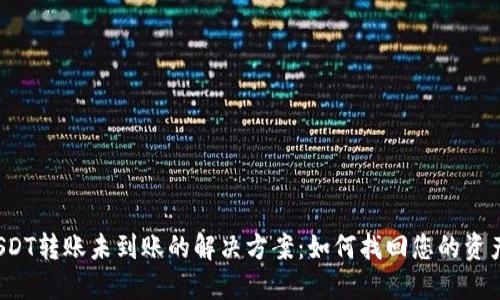 USDT转账未到账的解决方案:如何找回您的资产?