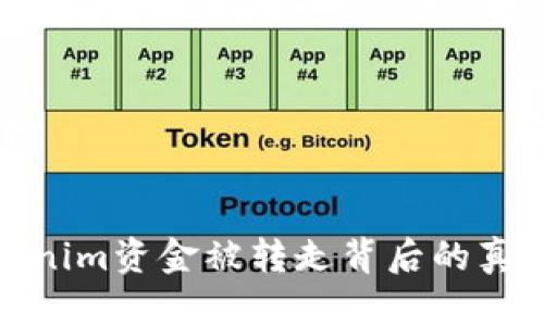 揭秘Tokenim资金被转走背后的真相与影响