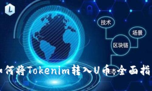 如何将Tokenim转入U币：全面指南