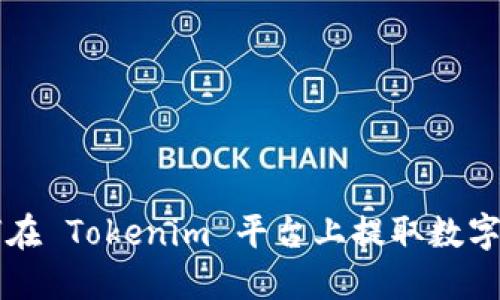 如何在 Tokenim 平台上提取数字货币