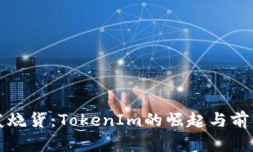 跨境发烧货：TokenIm的崛起与前景分析