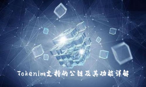 Tokenim支持的公链及其功能详解