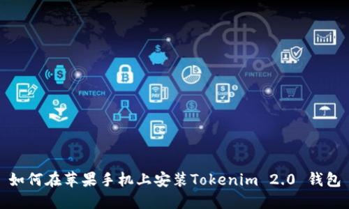 如何在苹果手机上安装Tokenim 2.0 钱包