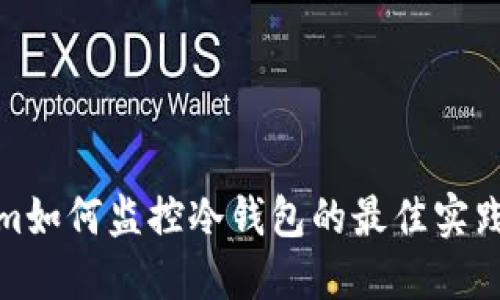 Tokenim如何监控冷钱包的最佳实践与策略