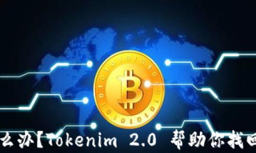 
手机丢失怎么办？Tokenim 2.0 帮助你找回手机的秘诀