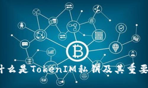  什么是TokenIM私钥及其重要性