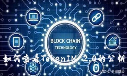 如何查看TokenIM 2.0的公钥