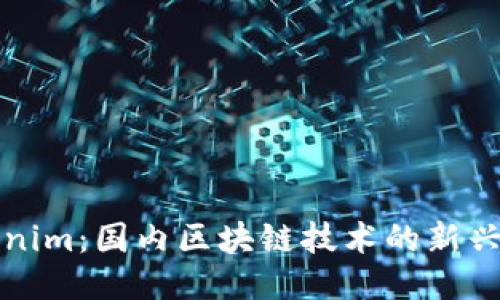 Tokenim：国内区块链技术的新兴力量