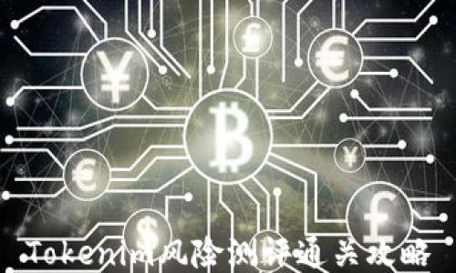 
Tokenim风险测评通关攻略