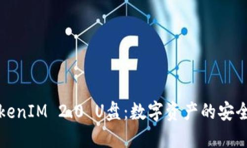 揭秘TokenIM 2.0 U盘：数字资产的安全守护者