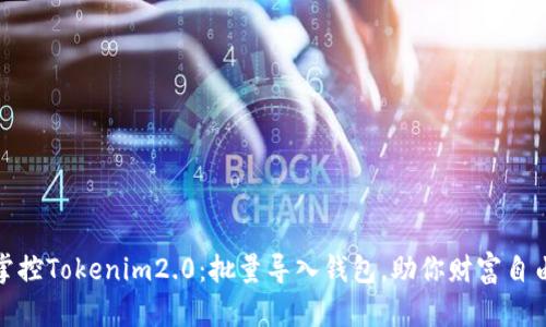 轻松掌控Tokenim2.0：批量导入钱包，助你财富自由之旅