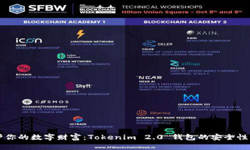 守护你的数字财富：Tokenim 2.0 钱包的安全性分析