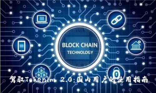 驾驭Tokenim 2.0：国内用户的使用指南