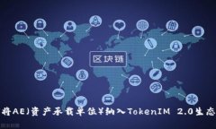 如何将AE（资产承载单位）纳入TokenIM 2.0生态系统