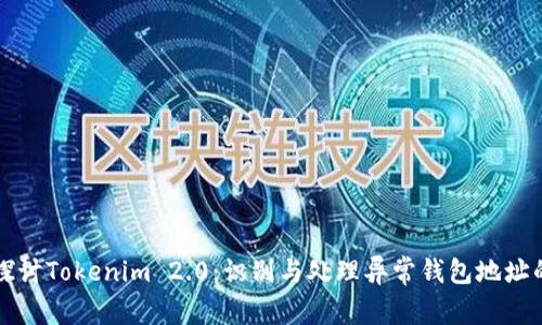 深入探讨Tokenim 2.0：识别与处理异常钱包地址的问题