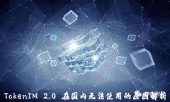 TokenIM 2.0 在国内无法使用的原因解析