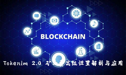 Tokenim 2.0 矿工费高级设置解析与应用