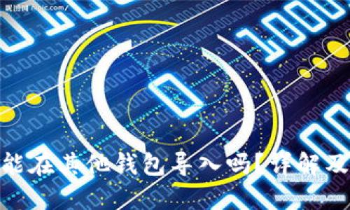 TokenIM能在其他钱包导入吗？详解及使用指南