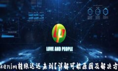 Tokenim转账迟迟未到？详解可能原因及解决方案