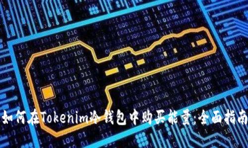 如何在Tokenim冷钱包中购买能量：全面指南