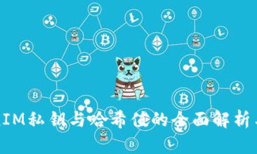 TokenIM私钥与哈希值的全面解析与应用